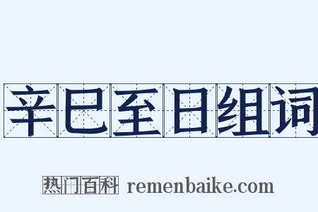 辛巳至日组词是什么意思的图片